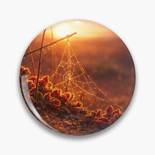 Item preview, A delicate golden spiderweb glistening in desert sunset designed and sold by everydayhorizons.