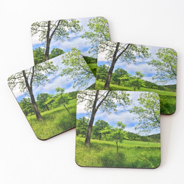 Item preview, Whitewater State Park designed and sold by Designed by Southern Minnesota Guy.