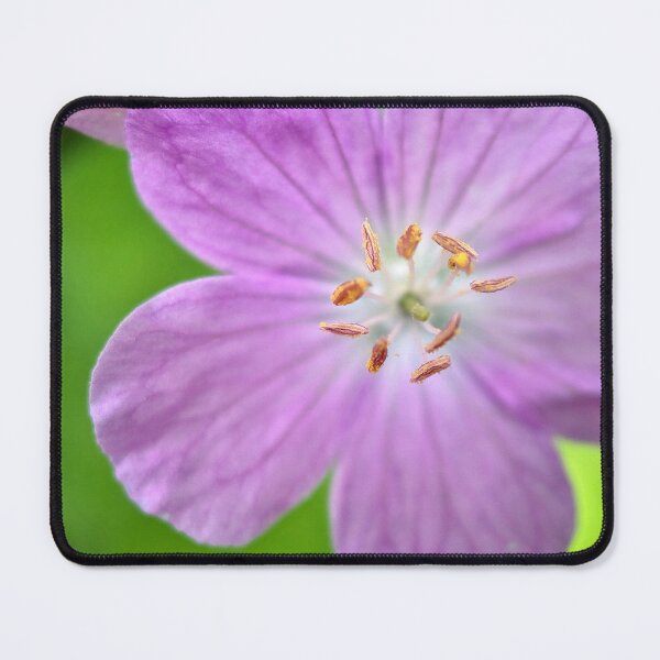 Item preview, Whitewater State Park designed and sold by Designed by Southern Minnesota Guy.