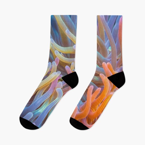 Item preview, Sea Anemone Abstract designed and sold by Tridentulus.