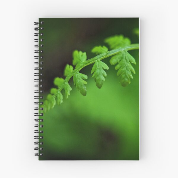 Item preview, Whitewater State Park designed and sold by Designed by Southern Minnesota Guy.