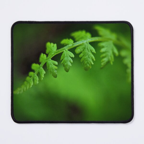 Item preview, Whitewater State Park designed and sold by Designed by Southern Minnesota Guy.