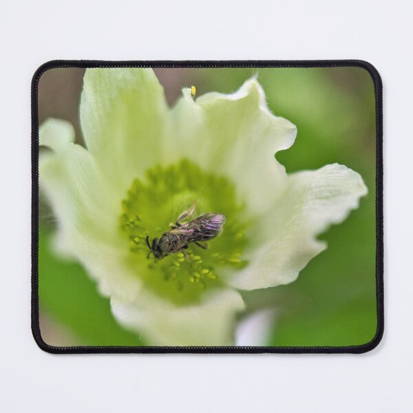 Item preview, Whitewater State Park designed and sold by Southern Minnesota Guy.