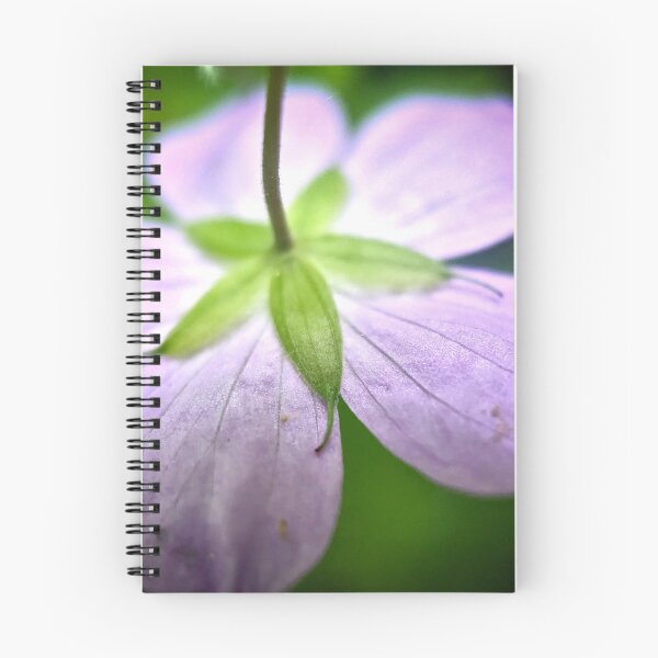Item preview, Whitewater State Park designed and sold by Designed by Southern Minnesota Guy.