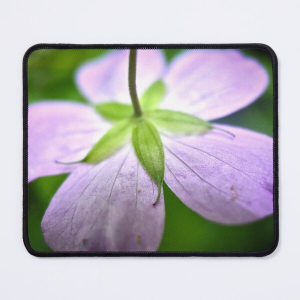 Item preview, Whitewater State Park designed and sold by Designed by Southern Minnesota Guy.