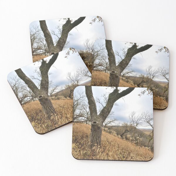 Item preview, Hiking the Loess Hills designed and sold by Designed by Southern Minnesota Guy.