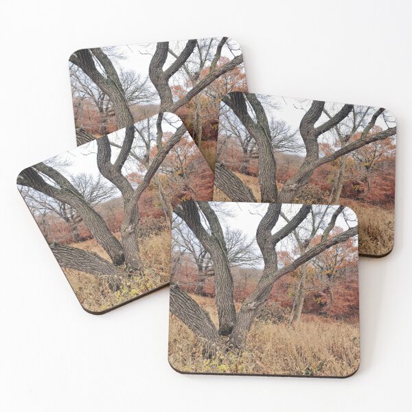 Item preview, Hiking the Loess Hills designed and sold by Designed by Southern Minnesota Guy.