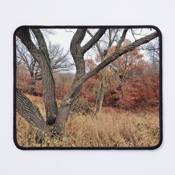 Item preview, Hiking the Loess Hills designed and sold by Southern Minnesota Guy.