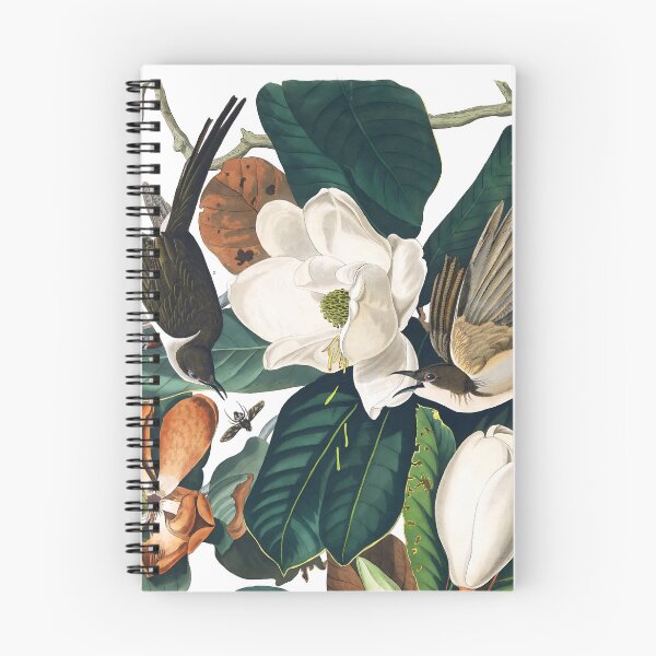 Item preview, Cuckoo on Magnolia Blossoms - John James Audubon designed and sold by Jon-Baran.