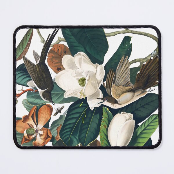 Item preview, Cuckoo on Magnolia Blossoms - John James Audubon designed and sold by Jon-Baran.
