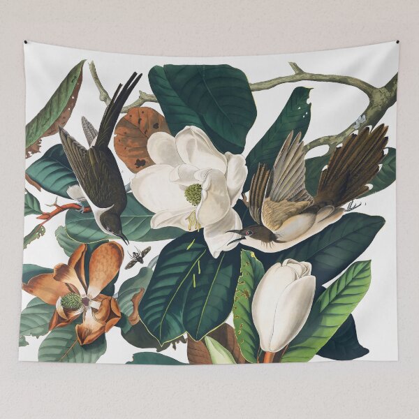 Item preview, Cuckoo on Magnolia Blossoms - John James Audubon designed and sold by Jon-Baran.