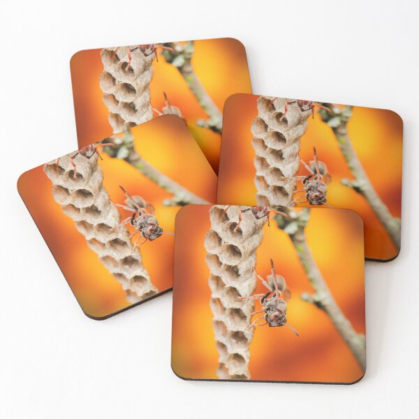 Item preview, Stick-nest Brown Paper Wasp or Ropalidia revolutionalis designed and sold by robdwildlife.