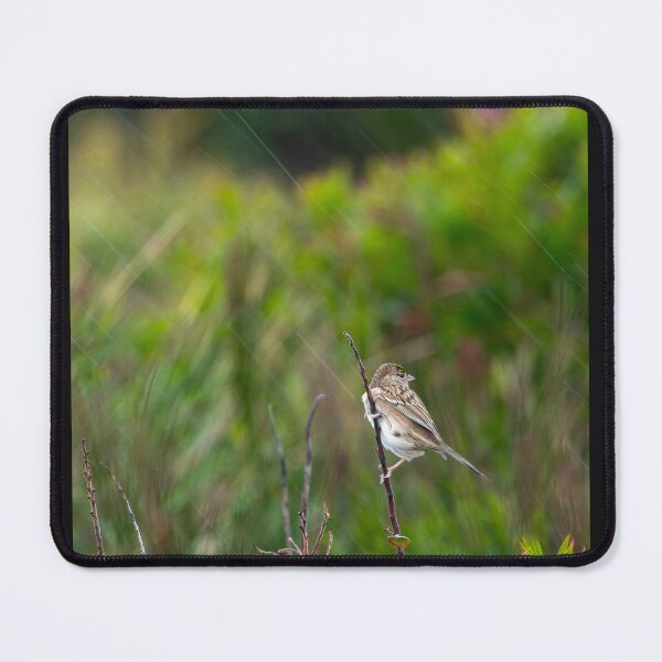 Item preview, Golden Crowned Kinglet perched in the rain designed and sold by lisavonbiela.