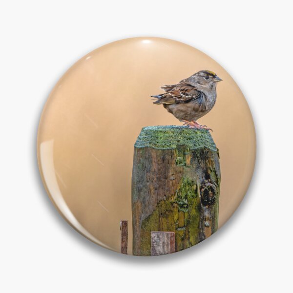 Item preview, Gold Crowned Kinglet on fence post in the rain designed and sold by lisavonbiela.