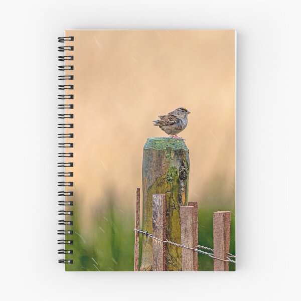 Item preview, Gold Crowned Kinglet on fence post in the rain designed and sold by lisavonbiela.