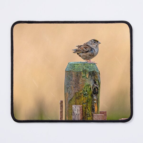 Item preview, Gold Crowned Kinglet on fence post in the rain designed and sold by lisavonbiela.