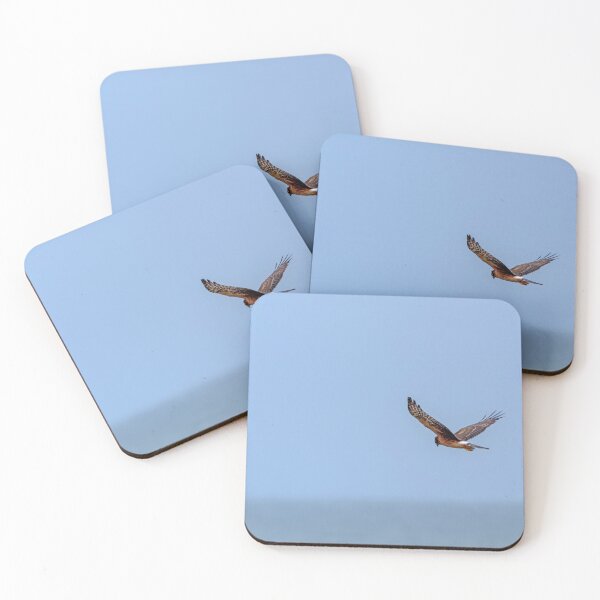 Item preview, Northern Harrier in flight against the sky designed and sold by lisavonbiela.