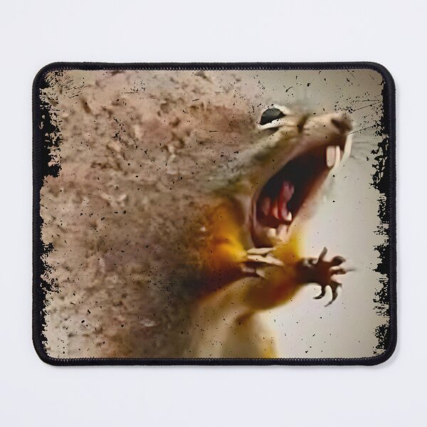 Item preview, Funny Disintegrating Squirrel Meme designed and sold by Eh Plus Designs.