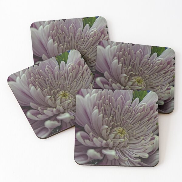Item preview, Secretos en cada pedal designed and sold by Betsy Phillips.