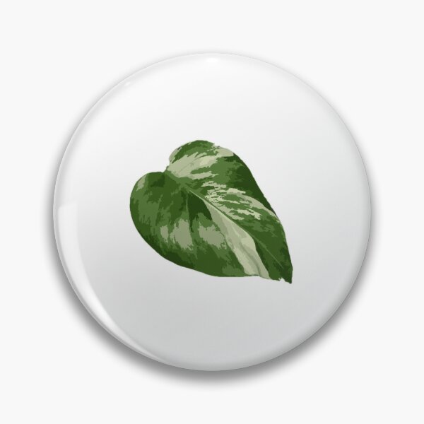 Item preview, Variegated Monstera Albo Leaf – Rare Houseplant Botanical Art Sticker for Plant Lovers (Aroid Tropical Variegation) designed and sold by VariegationV.