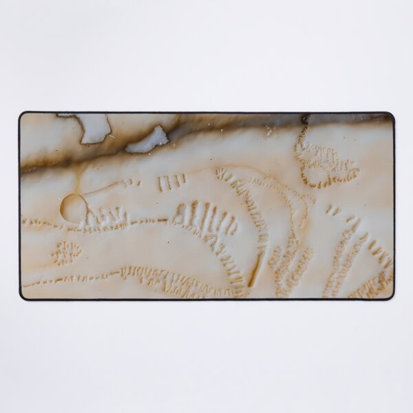 Item preview, Organic Scar Layered Texture (image size 7840x11680) designed and sold by Digital-Davinci.