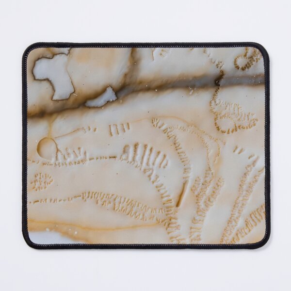 Item preview, Organic Scar Layered Texture (image size 7840x11680) designed and sold by Digital-Davinci.