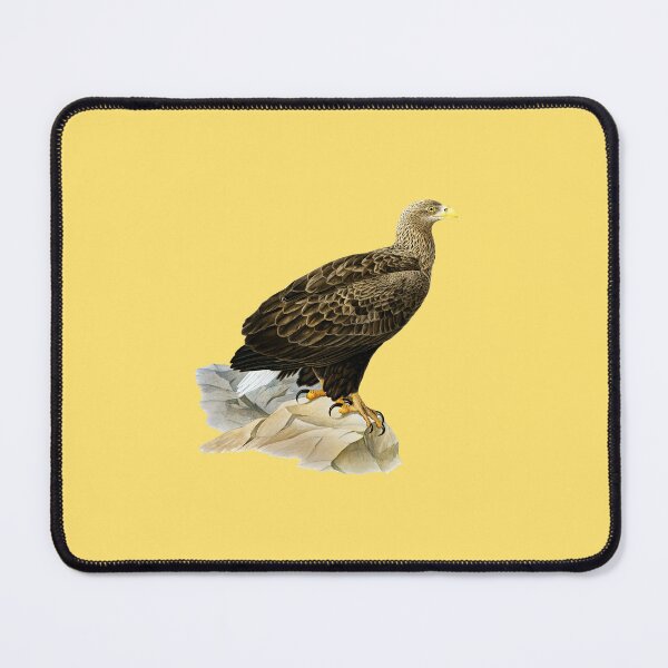 Item preview, Majestic Bald Eagle Illustration Perched on Rock | Detailed Vintage Wildlife Art designed and sold by Fashion Empire.