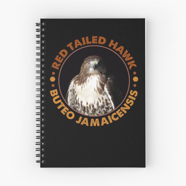 Item preview, Beautiful Red Tailed Hawk Portrait for Falconers and Bird Watchers designed and sold by Robert Diebold.