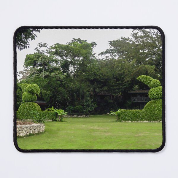 Item preview, Private Community Garden in Guatemala City. designed and sold by heatherfriedman.