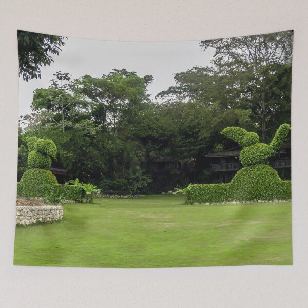 Item preview, Private Community Garden in Guatemala City. designed and sold by heatherfriedman.