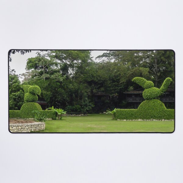 Item preview, Private Community Garden in Guatemala City. designed and sold by heatherfriedman.