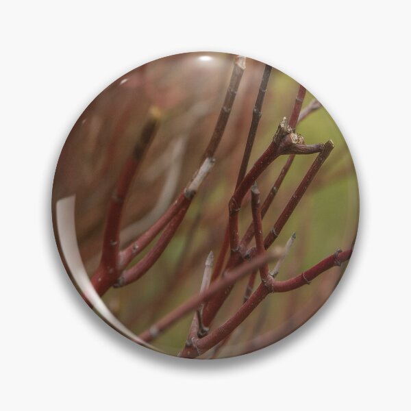 Item preview, Quiet Winter Branches in Soft Natural Light designed and sold by GentleWildStudio.