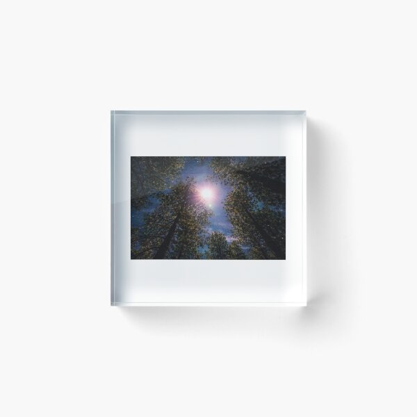 Item preview, Moonlit Canopy – Radiant Night Forest Dreamscape designed and sold by GentleWildStudio.