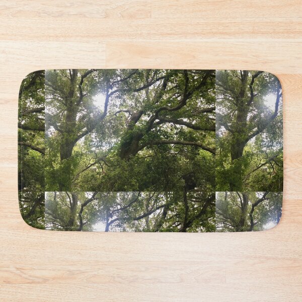 Item preview, Sunlight Through Ancient Oak Canopy designed and sold by TrisaThyme.