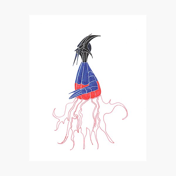 Photographic Print