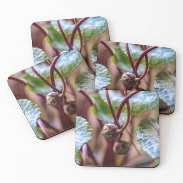 Item preview, Cyclamen Buds designed and sold by MarilynB.