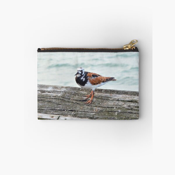 Item preview, Ruddy Turnstone designed and sold by What I See by Dawne.