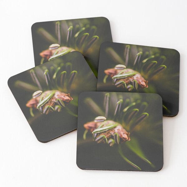 Item preview, Fir life. designed and sold by DerLaden.Art.