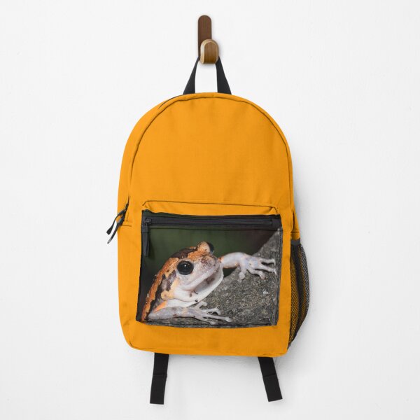 Item preview, Banded Bullfrog designed and sold by JacJaq.