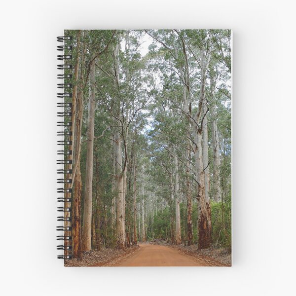 Item preview, Dirt road through the giant Karri tree forest designed and sold by jaynerushton.