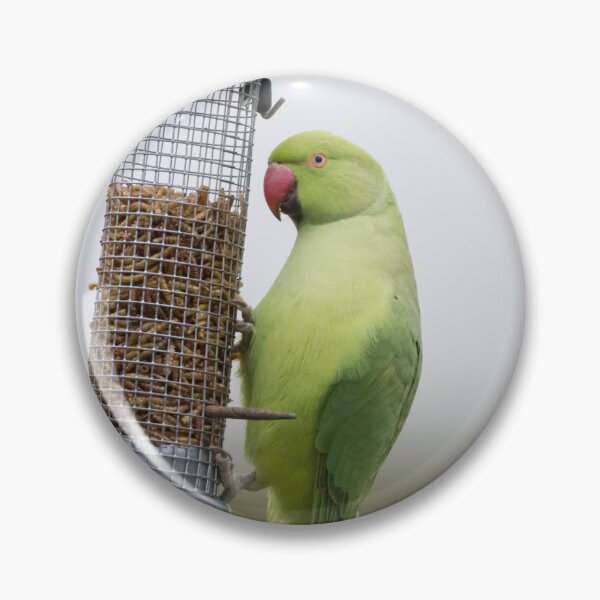 Item preview, Ring Necked Parakeet designed and sold by LaurenTucker.