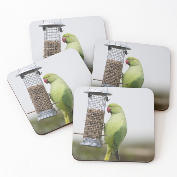 Item preview, Ring Necked Parakeet designed and sold by LaurenTucker.