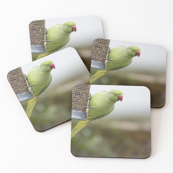 Item preview, Ring Necked Parakeet designed and sold by LaurenTucker.