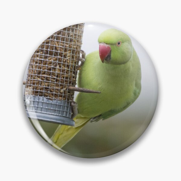 Item preview, Ring Necked Parakeet designed and sold by LaurenTucker.
