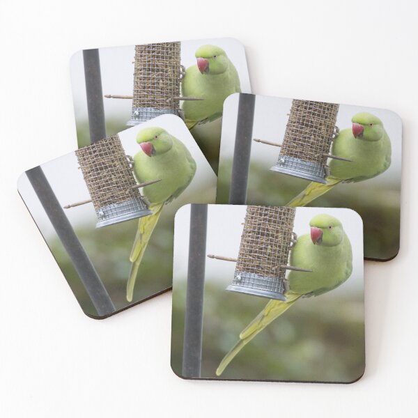 Item preview, Ring Necked Parakeet designed and sold by LaurenTucker.