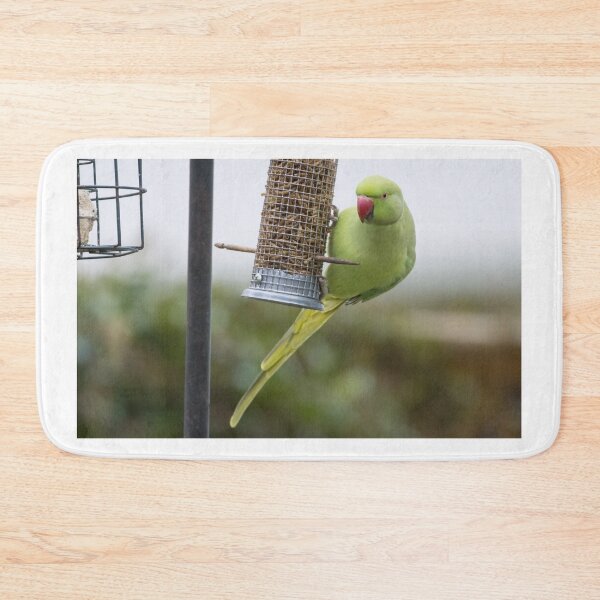 Item preview, Ring Necked Parakeet designed and sold by LaurenTucker.