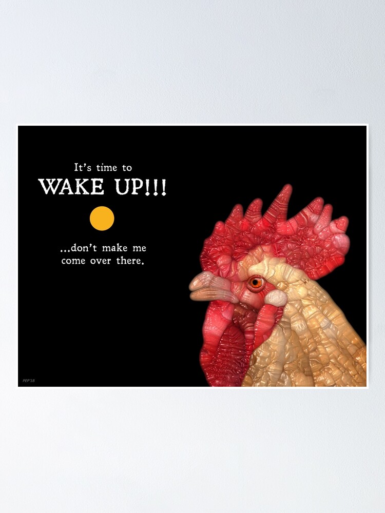 Alternate view of Rooster In The Morning Poster