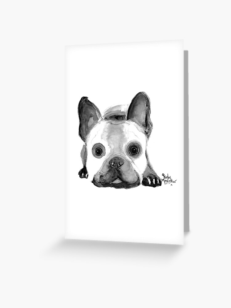 french bulldog b
