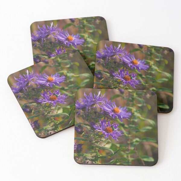 Aperçu de l'œuvre Asters violets créée et vendue par blankdenial.