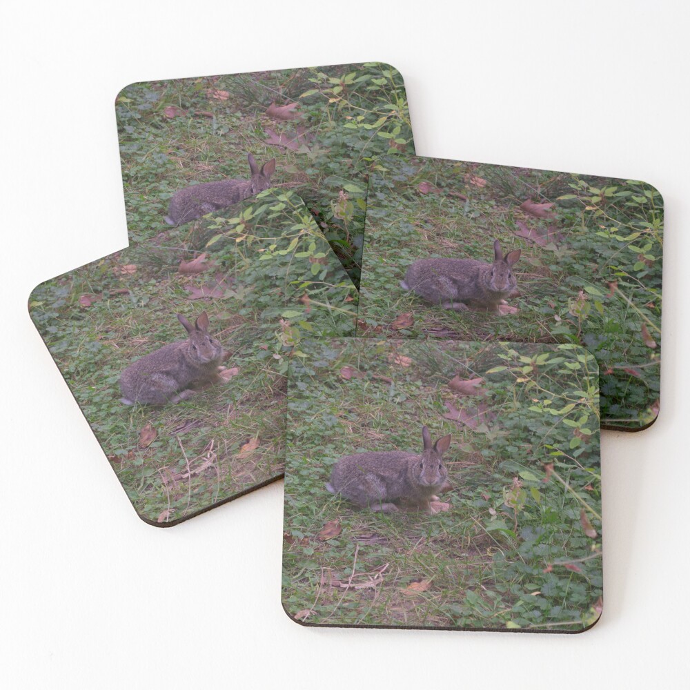 Item preview, Coasters (Set of 4) designed and sold by blankdenial.